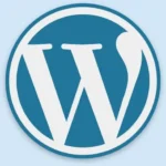 best digital marketer in wayanad-wordpress tool used- home page
